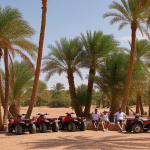 Scenic landscape exploration during Marrakech day trips from the city