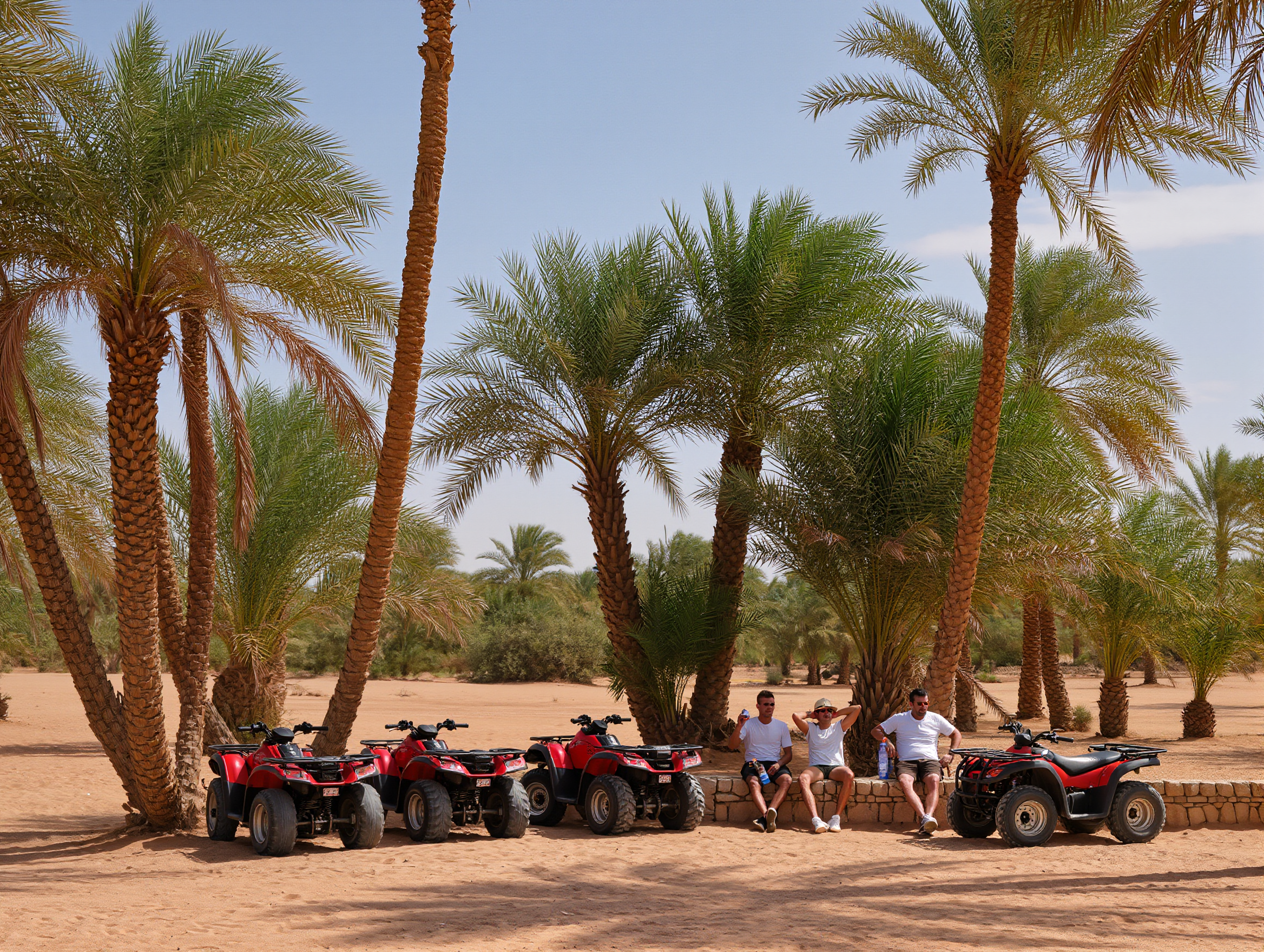 Scenic landscape exploration during Marrakech day trips from the city