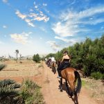 Visitors exploring hidden gardens among best things to do in Marrakech Morocco